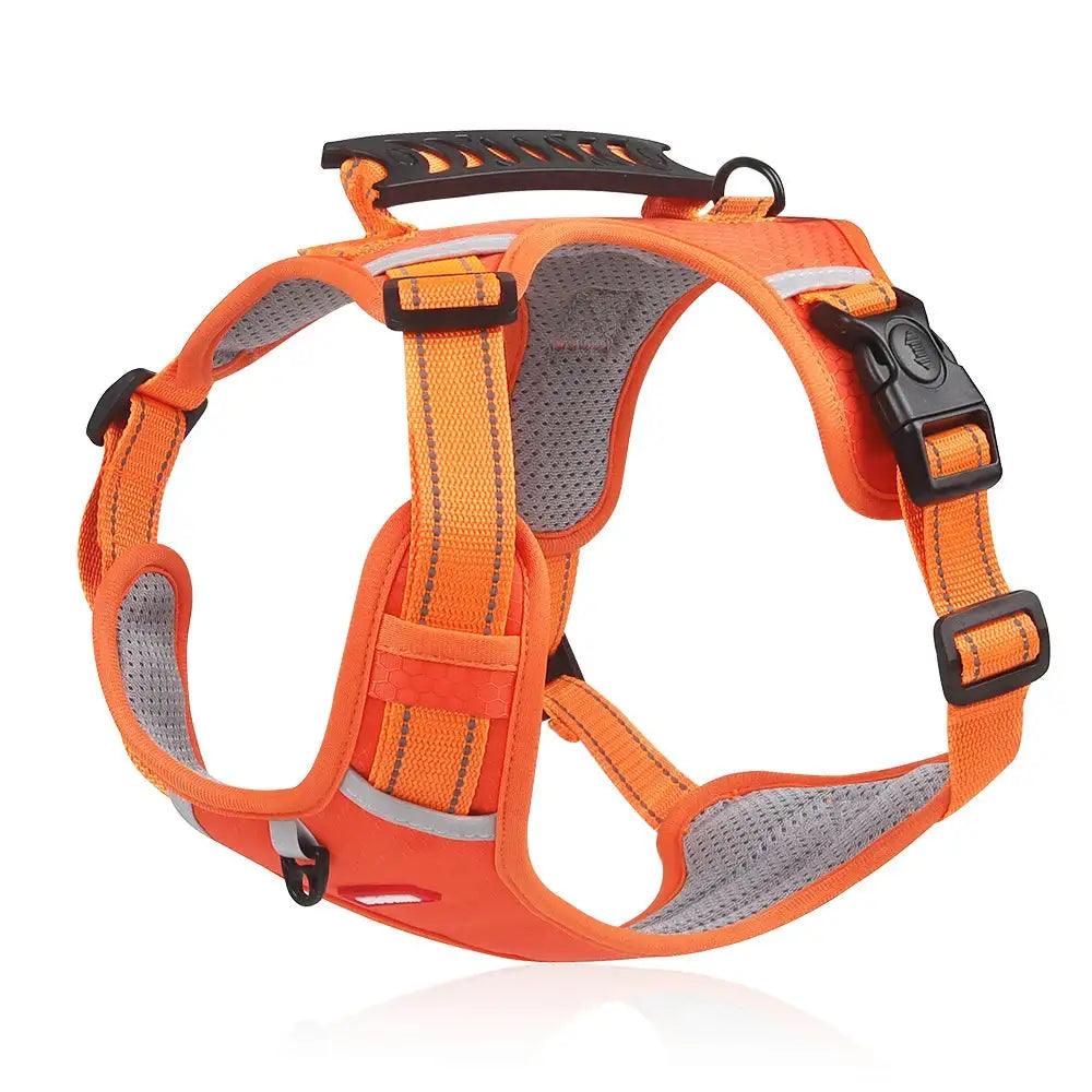 Reflective Stress- Relieving Harness - Onemart