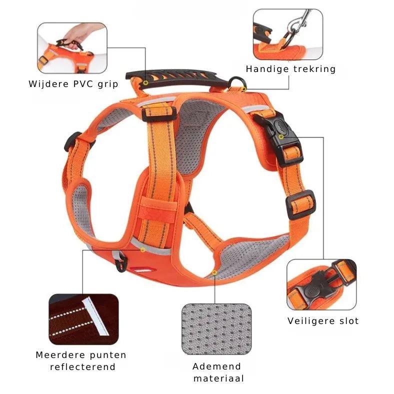 Reflective Stress- Relieving Harness - Onemart