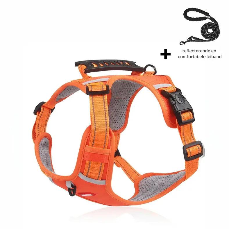 Reflective Stress- Relieving Harness - Onemart