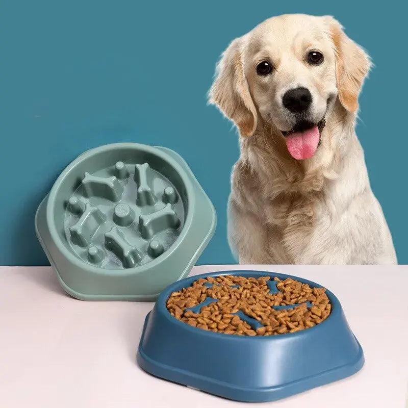 Slow Feeder Pet Bowl - Onemart