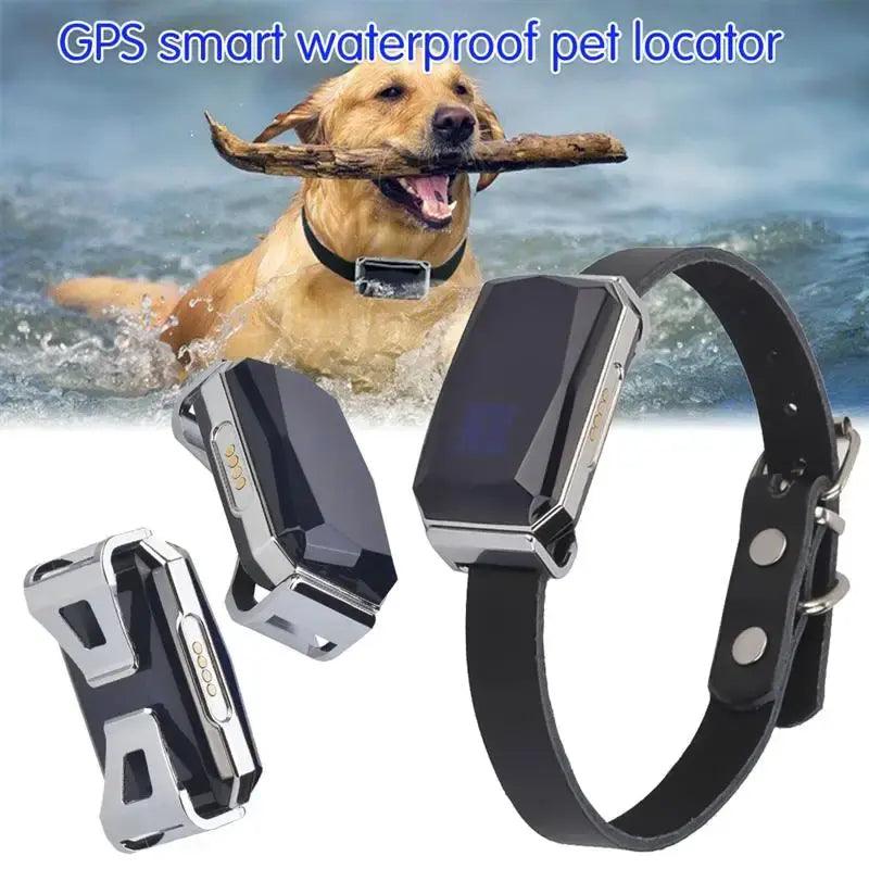 Smart Collar Waterproof Pet Locator - Onemart