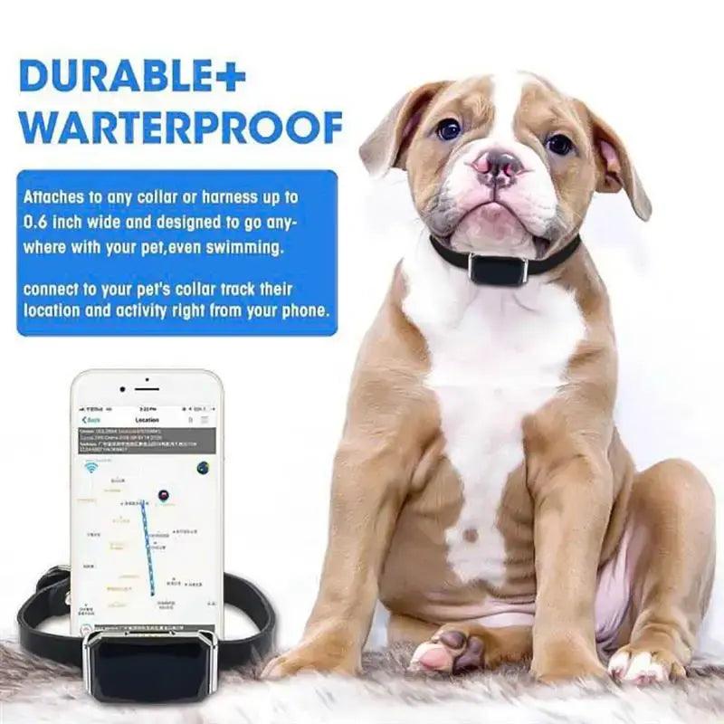 Smart Collar Waterproof Pet Locator - Onemart