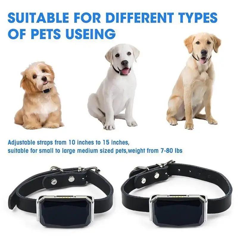 Smart Collar Waterproof Pet Locator - Onemart