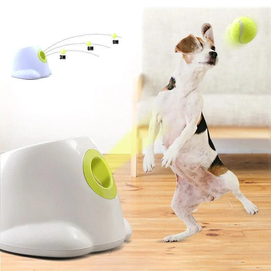 Tennis Ball Launcher for dogs - Onemart