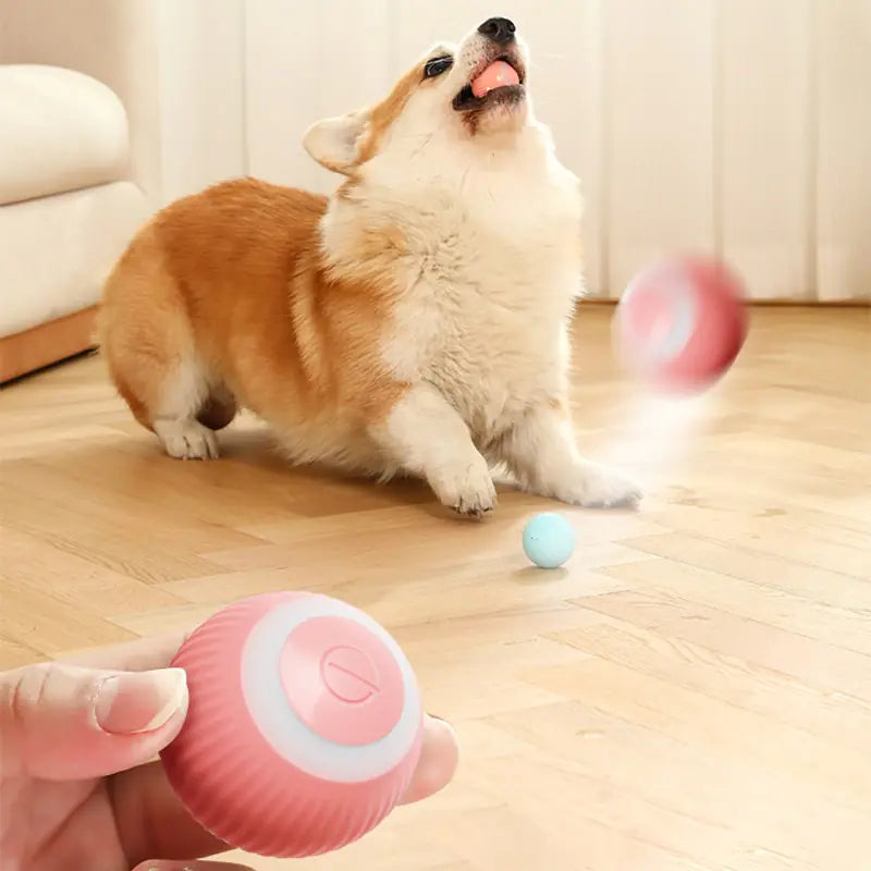 Electric Smart Ball Toys for Pets - Onemart