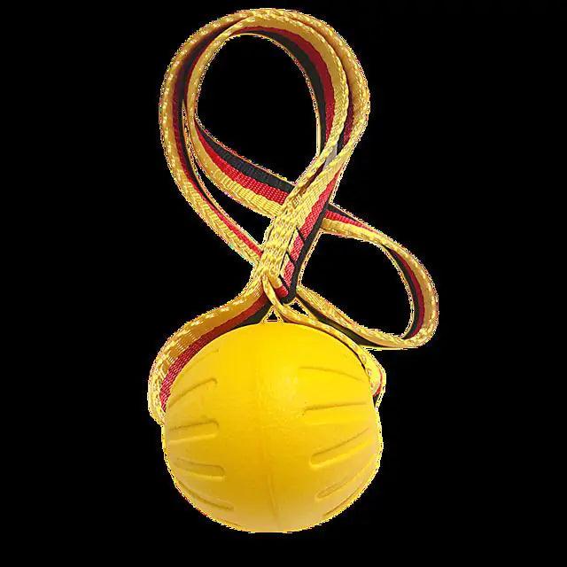 Dog Training Ball on Rope - Onemart