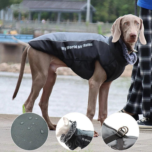 Waterproof Cotton Coat Dogs - Onemart