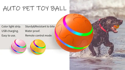 Interactive Pet Smart Ball Toy - Onemart