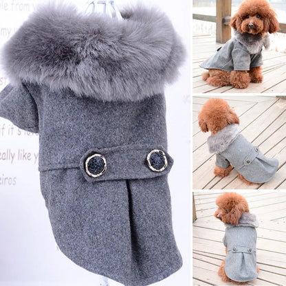 Pet Fur Collar Jacket - Onemart