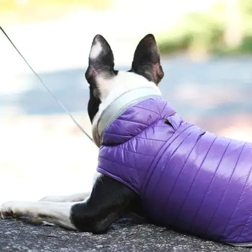 Reversible Dog Vest for the Cold Weather - Onemart
